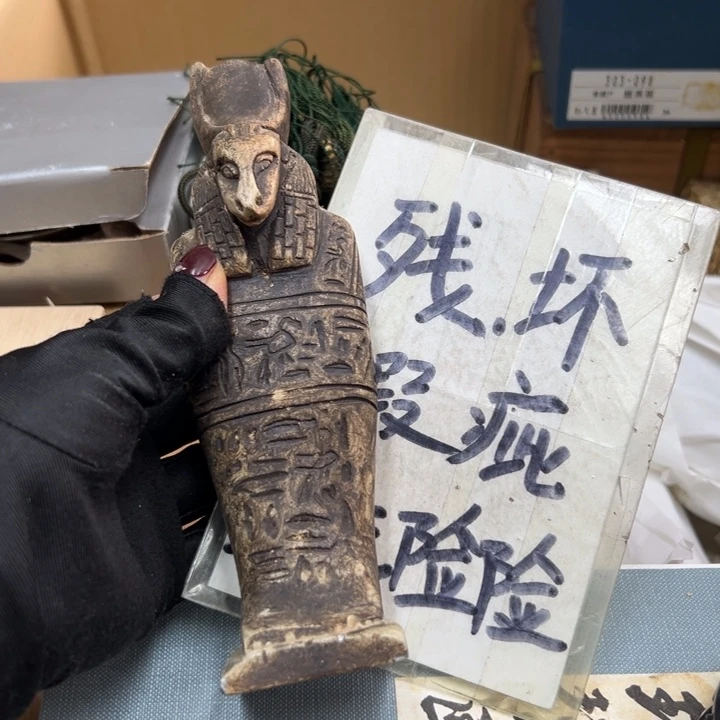 谢谢谢谢谢谢谢谢娃