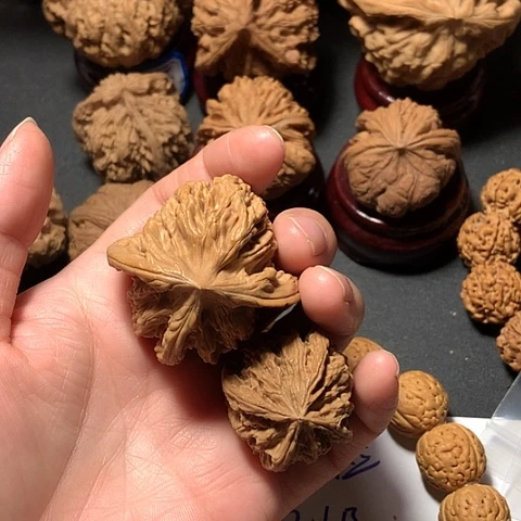 超***生棱子单只两个