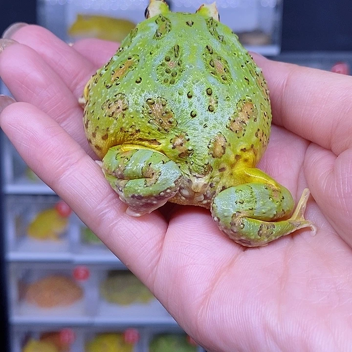 特价秒杀现货特价