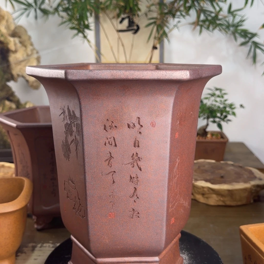 风***8花盆紫砂紫砂花盆