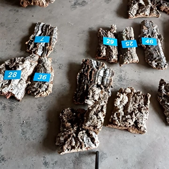 木一物一拍一物一发