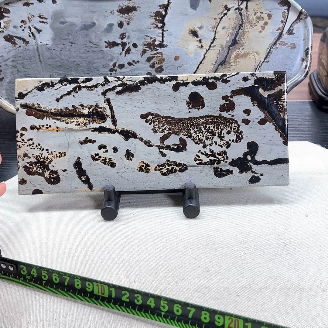 广西石天然国画石湿泡台