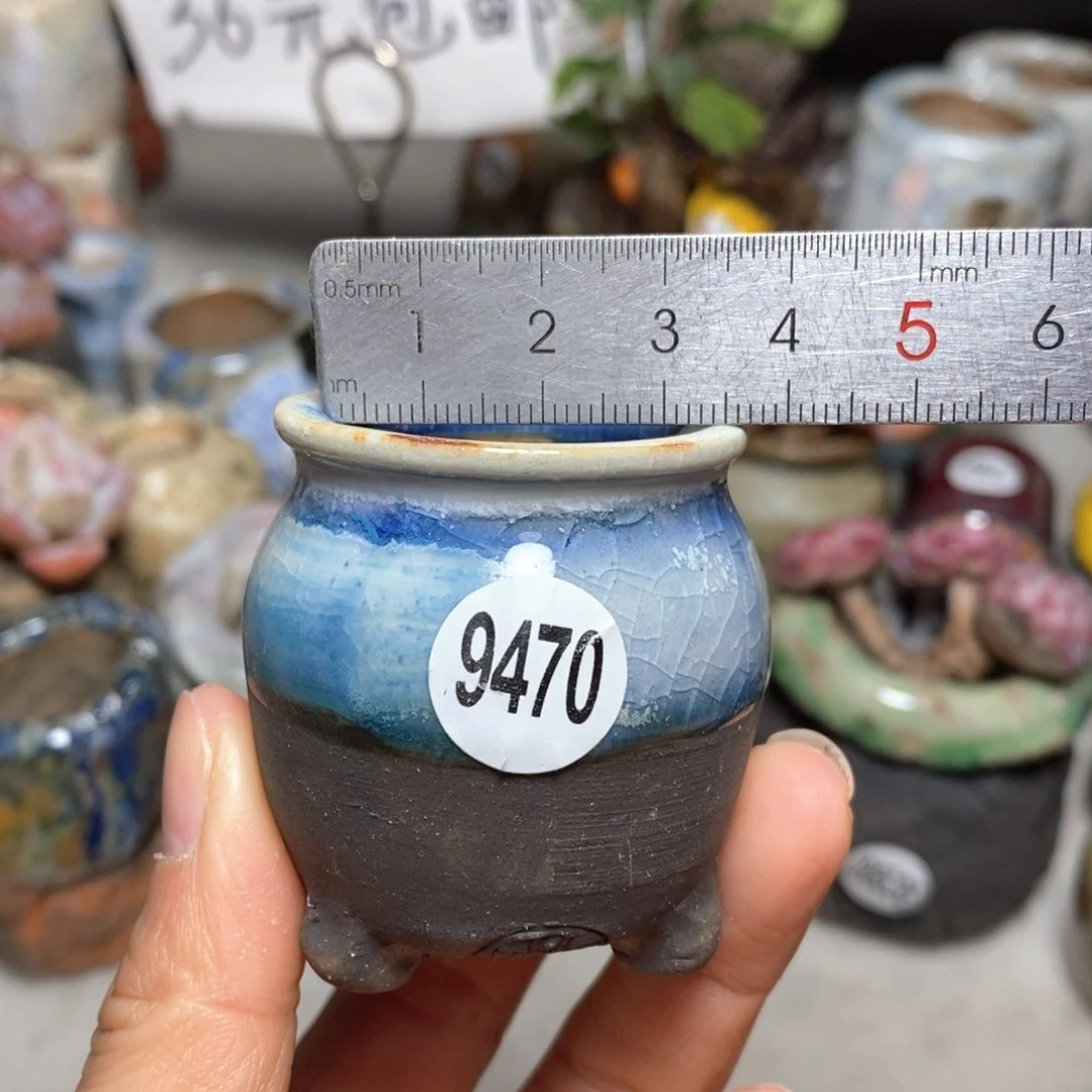 花盆拍5送一个小礼物