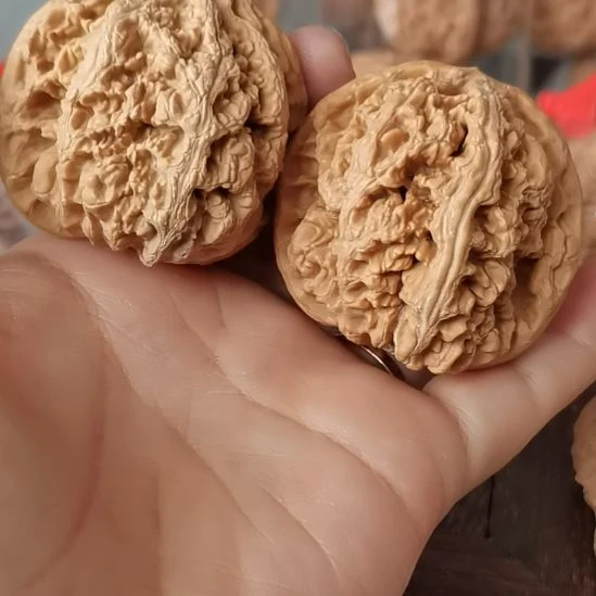 猴头核桃吊坠46粗筋狮子
