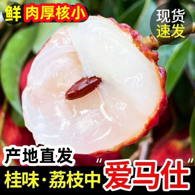 【小五专属】EMS空运正宗桂味荔枝5斤当季广西新鲜水果现摘整箱纯甜