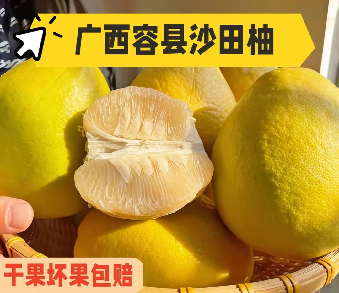 正宗广西容县白心沙田柚新鲜当季水果包邮