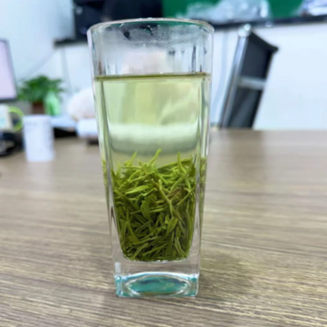 高山绿茶组合品鉴茶清香回甘直条毛尖炒青新茶