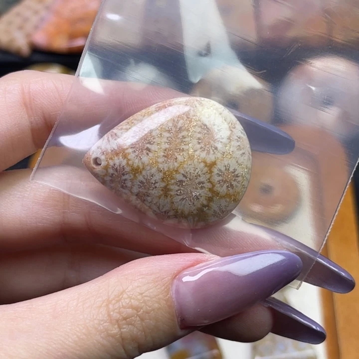 未镶嵌吊坠硅化珊瑚（珊瑚玉）