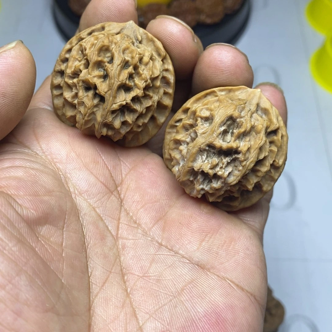 核桃小苹果园核桃