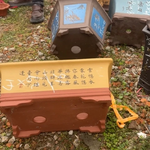 紫砂花盆紫砂花盆盆景盆栽