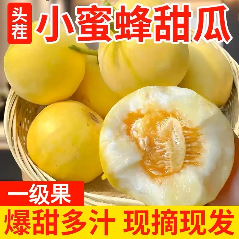 (顺丰包邮)山东头茬小蜜罐甜瓜早甜脆小蜜蜂现摘现发新鲜甜美