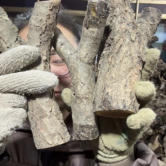 香榧木小*火琉璃的毛料摆件