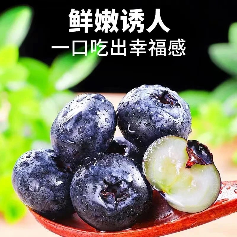 新鲜应季蓝莓18-20