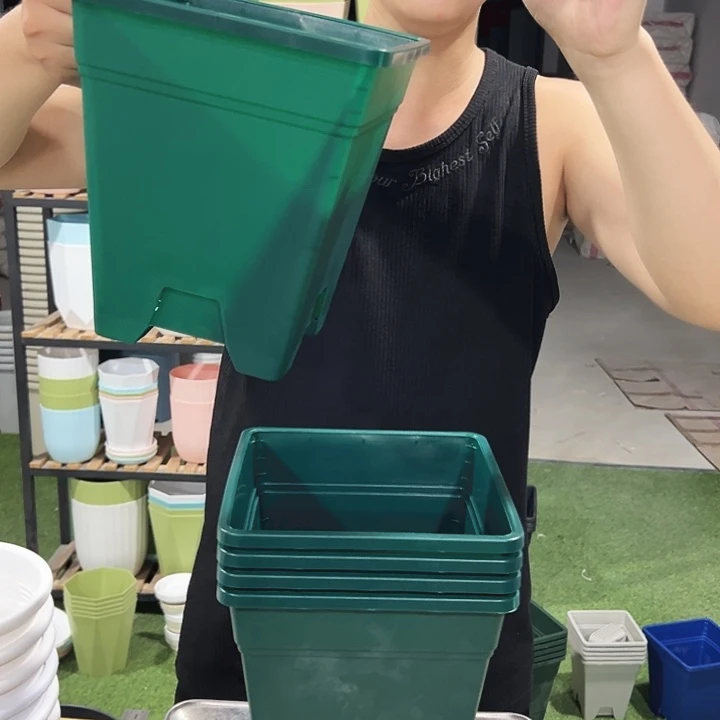 正品方盆口20高22墨绿色5只带托