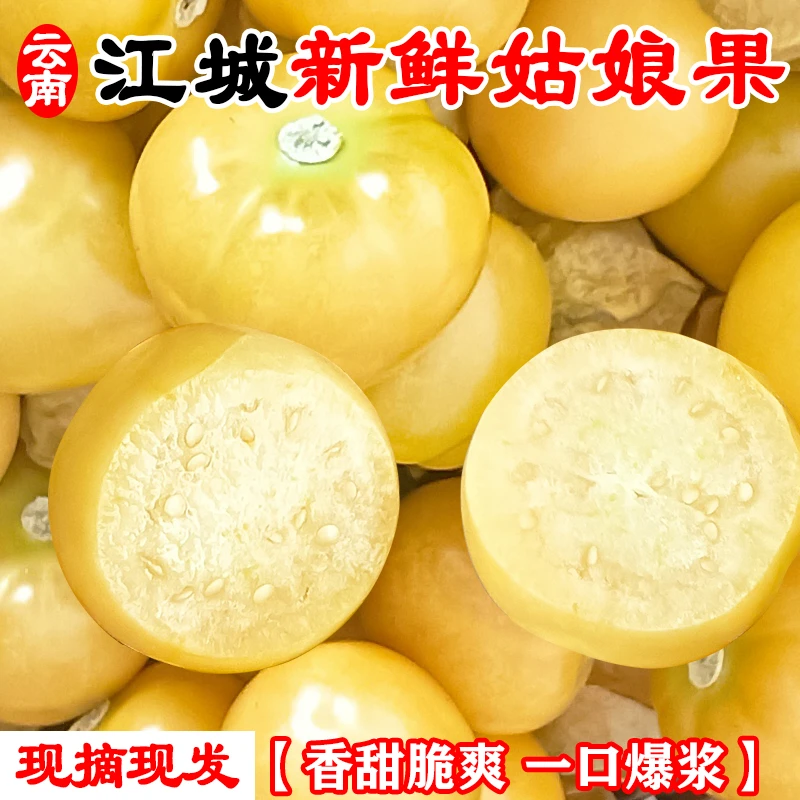 产地直发|云南江城新鲜姑娘果灯笼果黄姑娘果5斤现摘现发一口爆汁