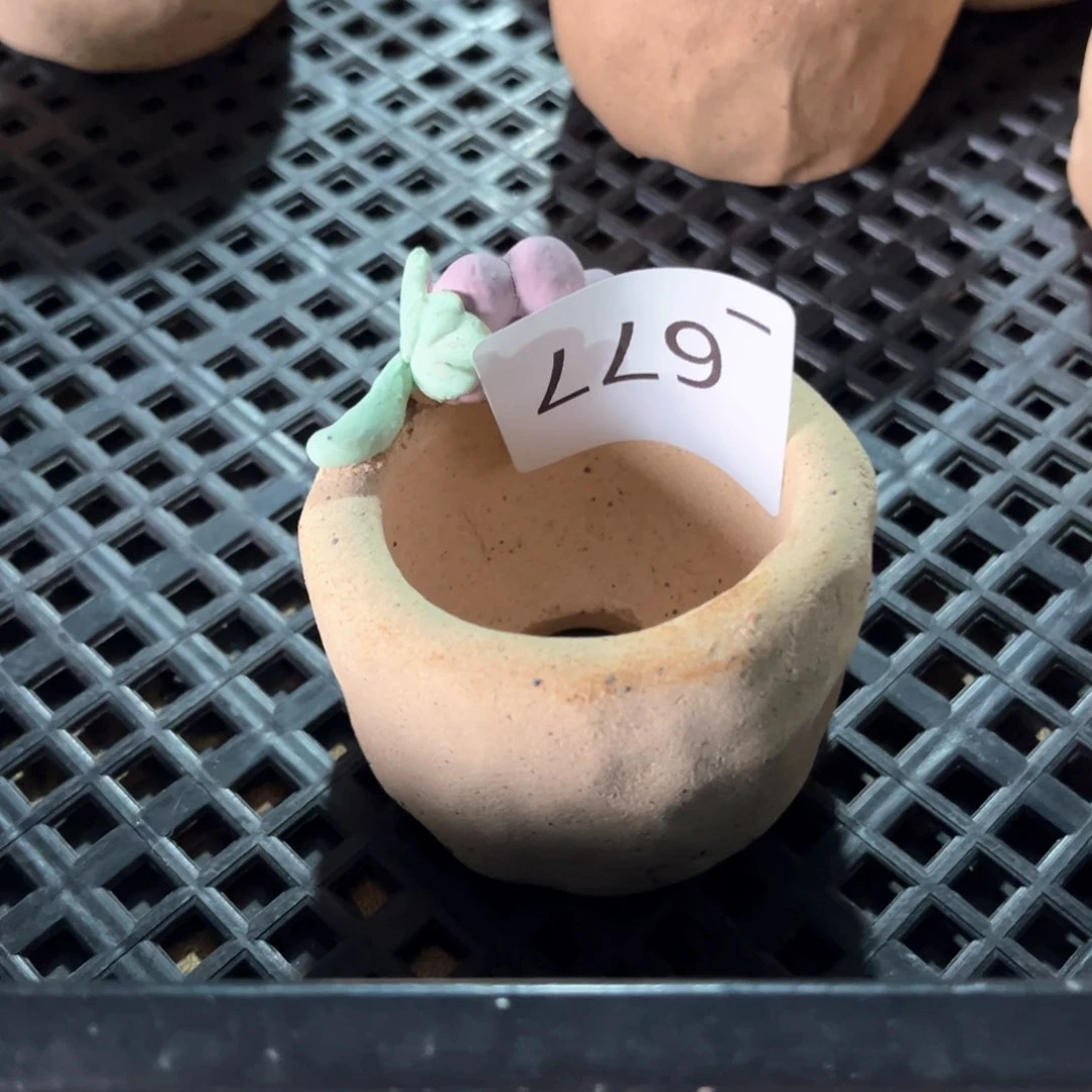 红陶677花盆  1个