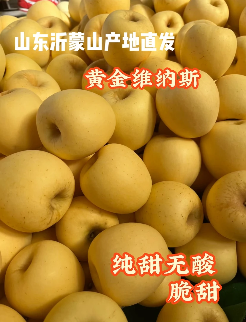 沂蒙山黄金维纳斯苹果（微瑕）