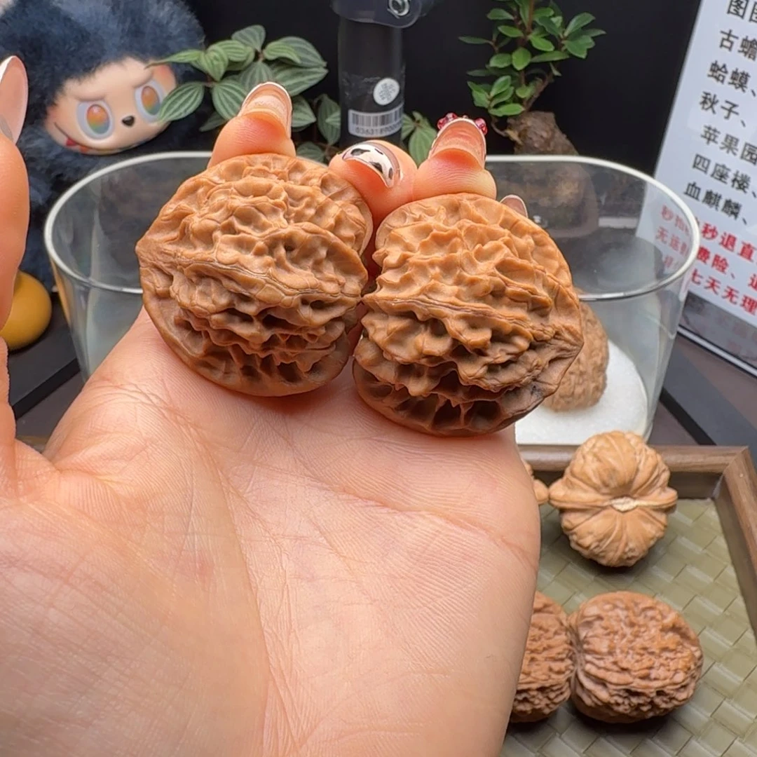 马***岑核桃全品龙门涧38+