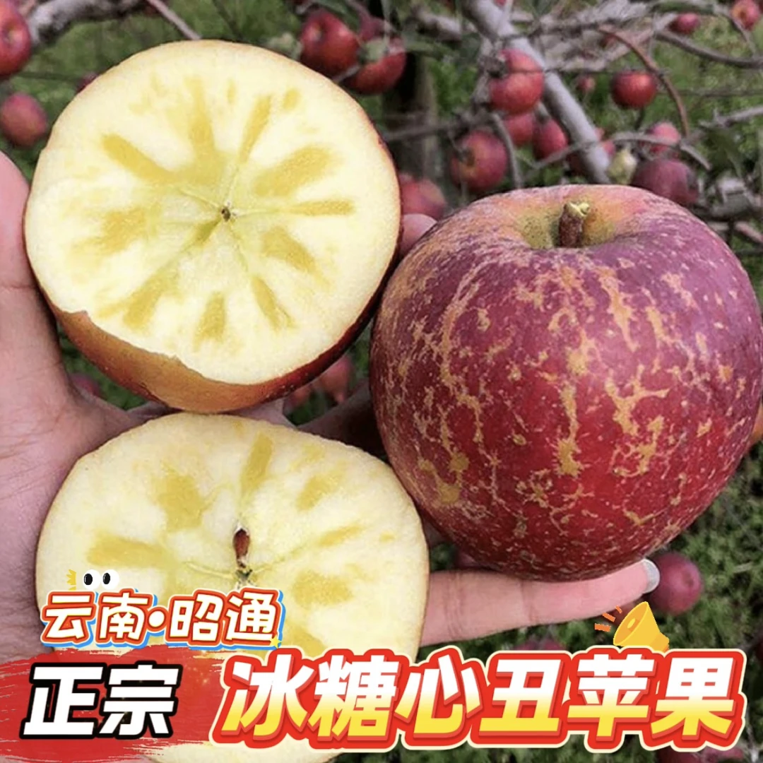【昭通冰糖心丑苹果】正宗云南昭通冰糖心丑苹果新鲜现摘脆甜多汁