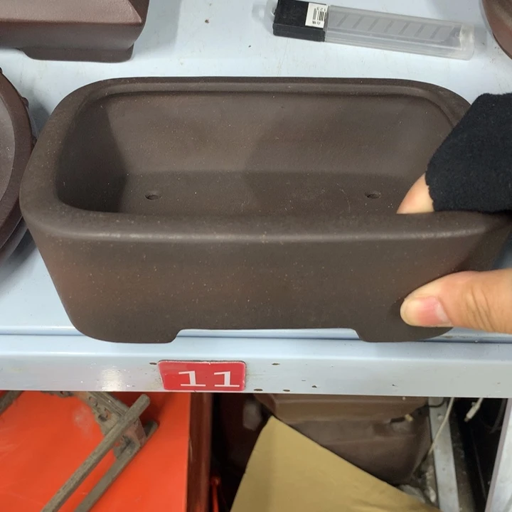 紫砂花盆景*紫砂花盆