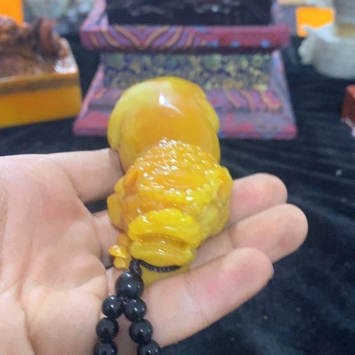 玉玉章1111111111111