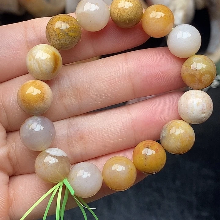 硅化玉未镶嵌颈饰