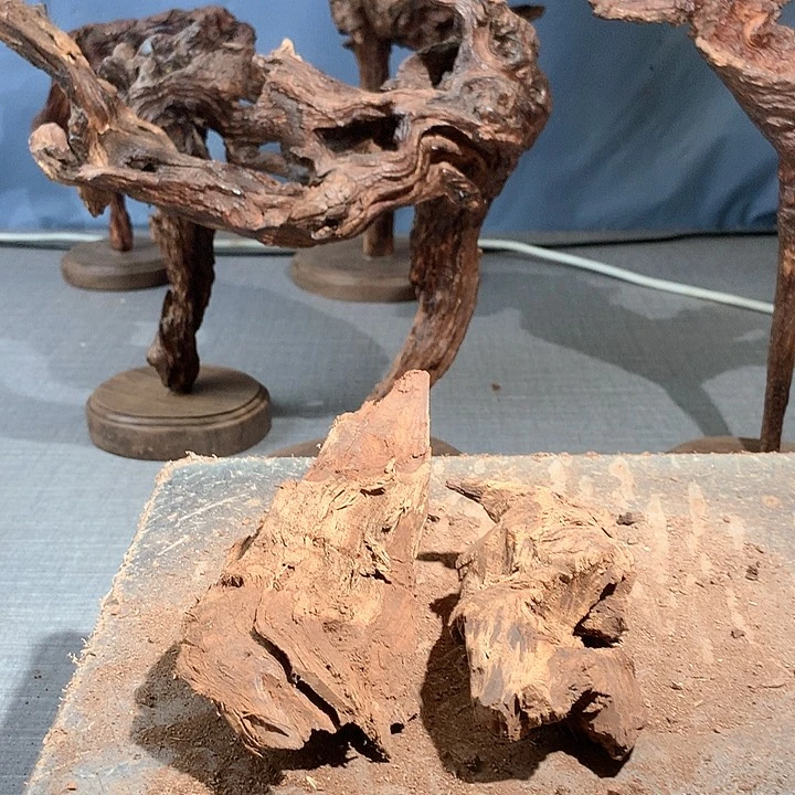 黄花梨/降香黄檀桃*岛