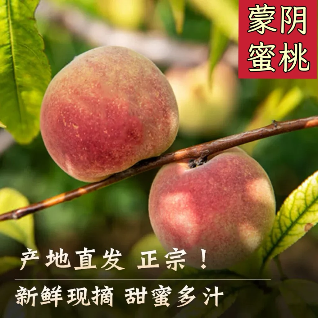 【产地直发】山东蒙阴蜜桃、应季现摘小冬桃、脆甜多汁！A