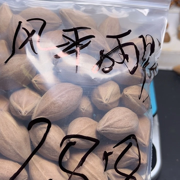 风***顺手串/手链橄榄核111
