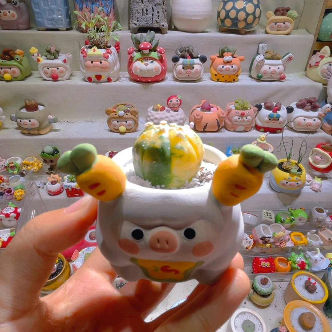 M****儿范宝专属链接拍拍