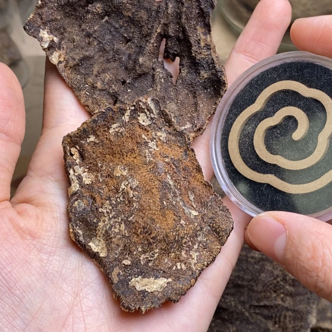 漂***妈海南10克。