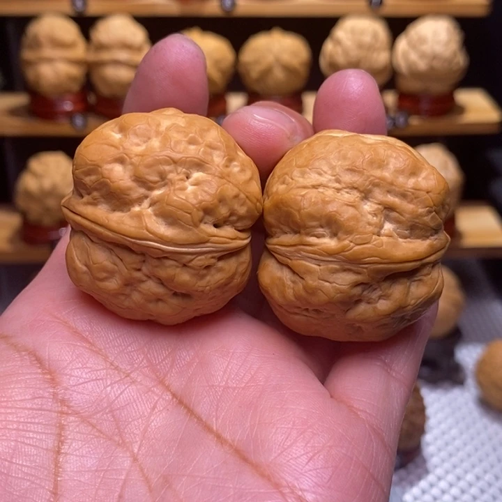 木质类云铁噬金蛤蟆头71号