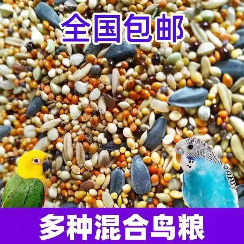 牡丹虎皮鹦鹉玄凤鸟食谷子饲料五色黍子混合营养鸟粮玄凤鹦鹉饲料