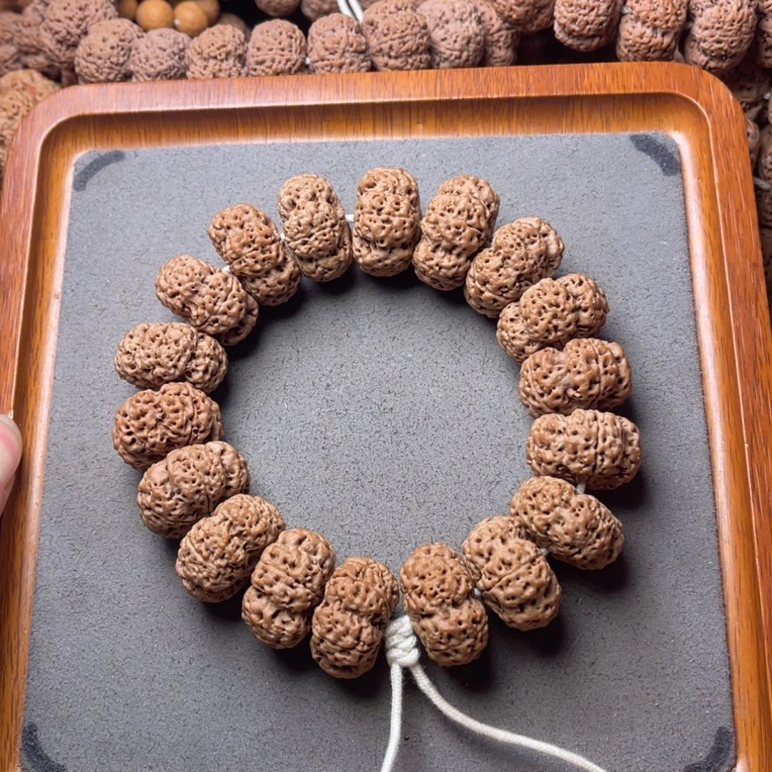 菩提籽类5号金刚菩提梁梅花夹板25