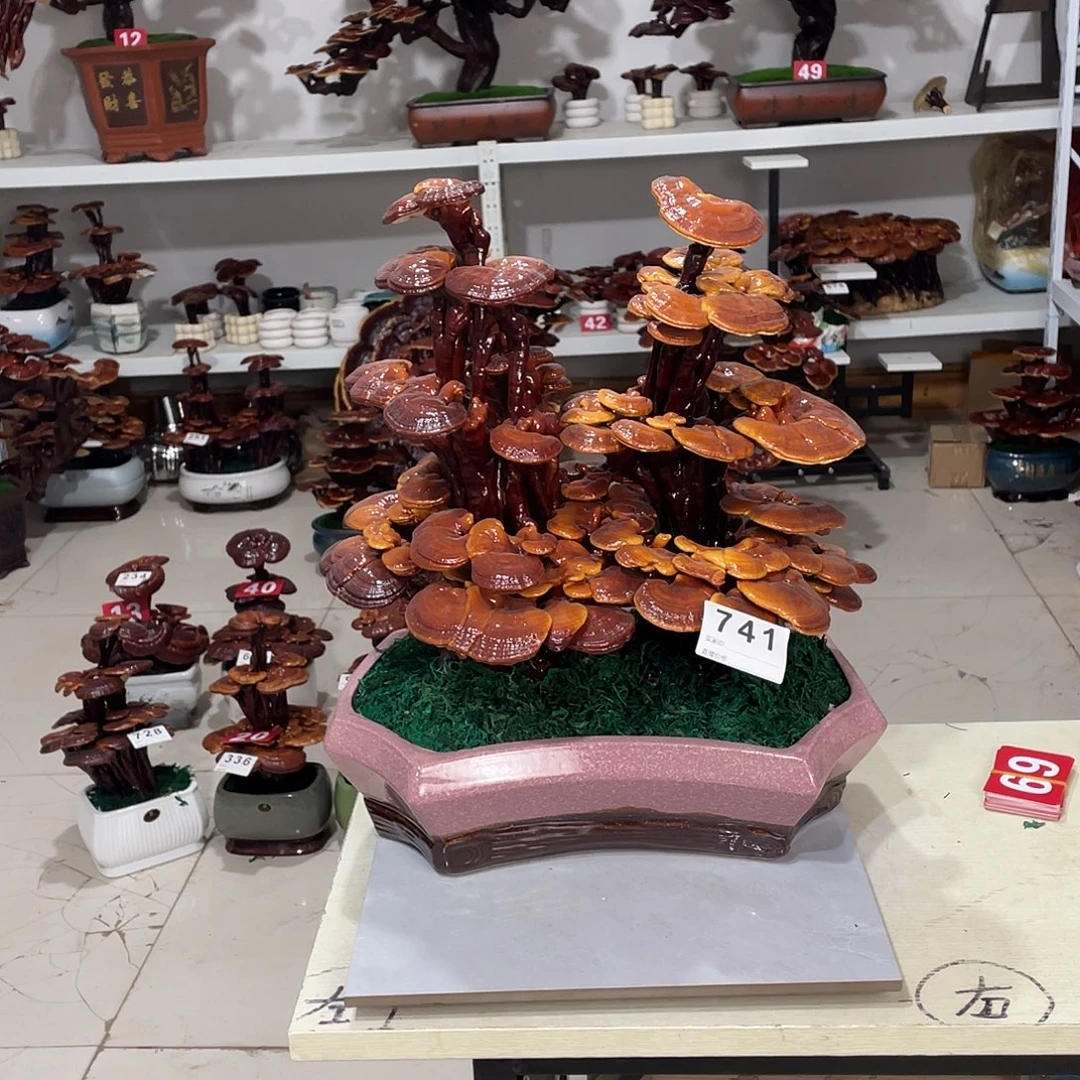 无花朵888888888888888