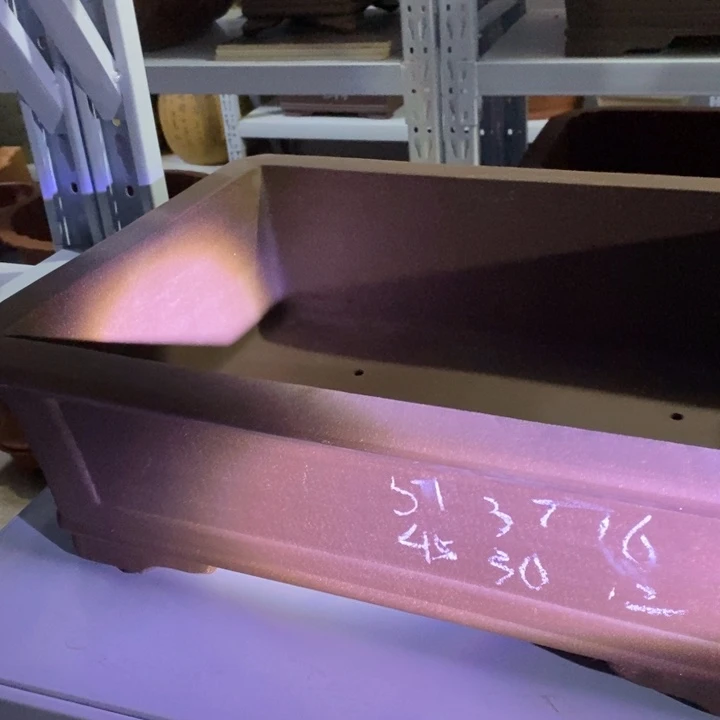 紫砂花盆只顾看手机的