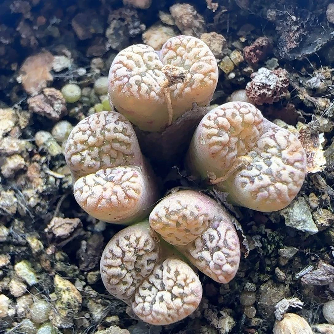 哈哈哈哈哈28283