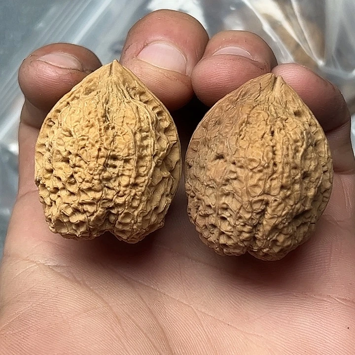 核桃90号观音座38尺