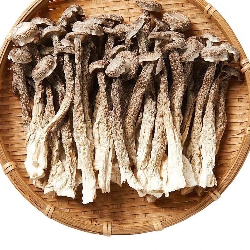 【净重无干燥剂】新鲜上市干鹿茸菇