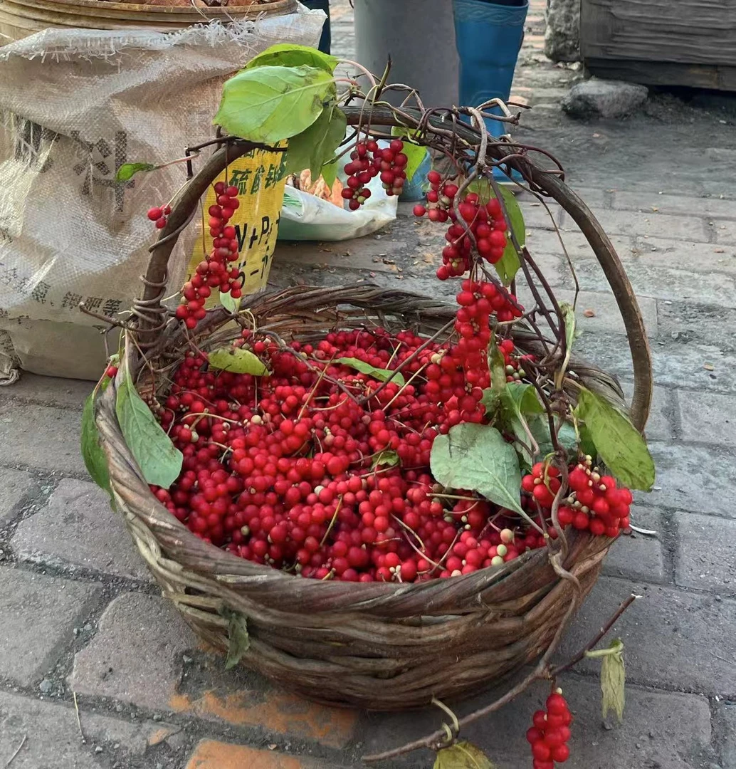 产地长白山小红果250/500G