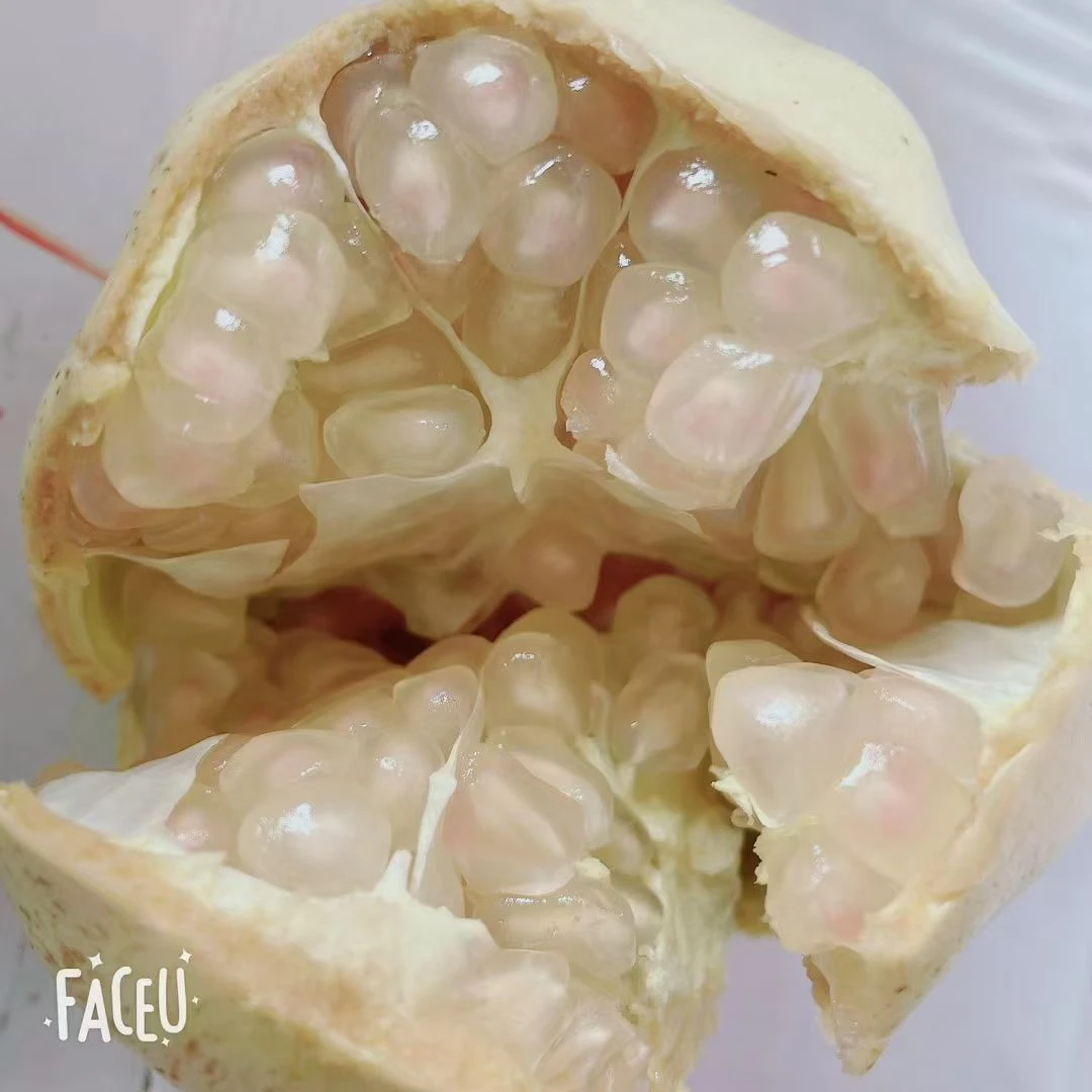 怀远红花玉石籽新鲜应季水果爆甜多汁