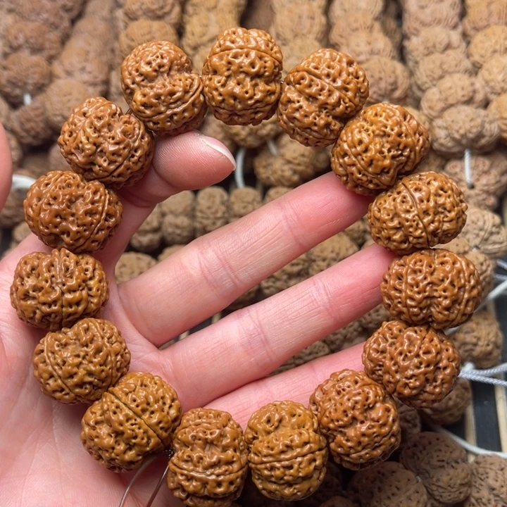 菩提尼泊尔大金刚梁梅花23