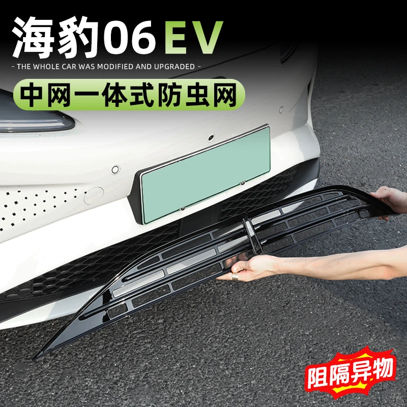 比亚迪海豹06EV防虫网dmi/旅行版中网前杠水箱格栅保护改装饰配件