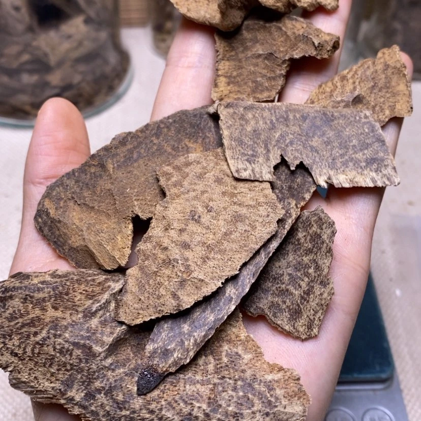 【闪购商品】赖*衣海南老顶10克 熏香