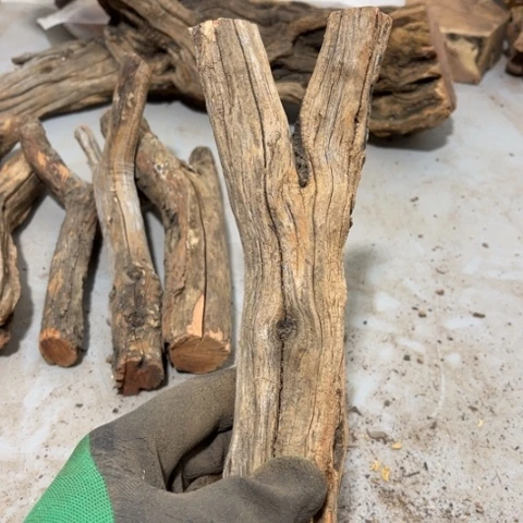 大果紫檀（缅甸花梨）洪**业