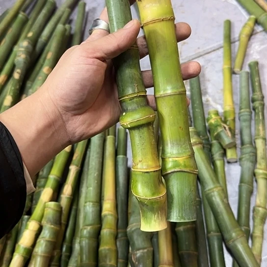 不*** 竹类实心玉竹手把件