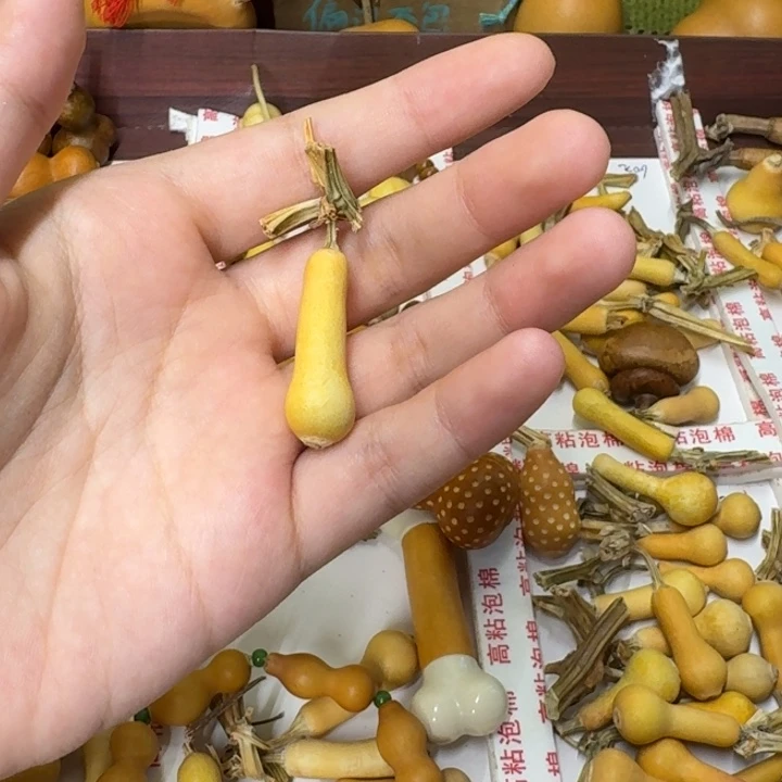 葫芦葫芦葫芦葫芦葫芦葫芦