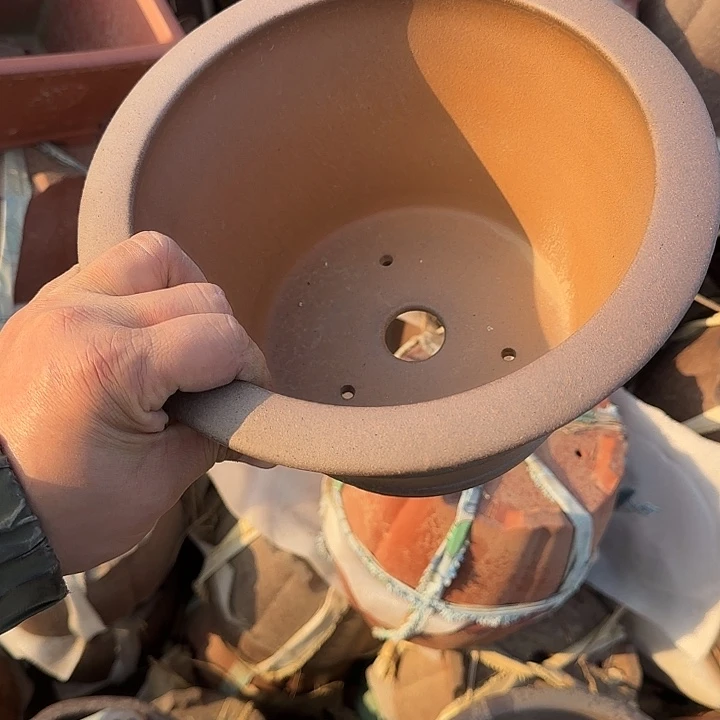 在干嘛的我还以为自己没看完这篇论文我