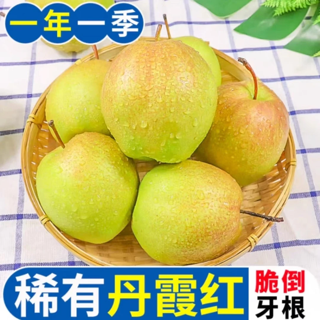 农家肥种植丹霞红酥脆香梨脆甜多汁孕妇水果新鲜秋季水果皮薄肉厚