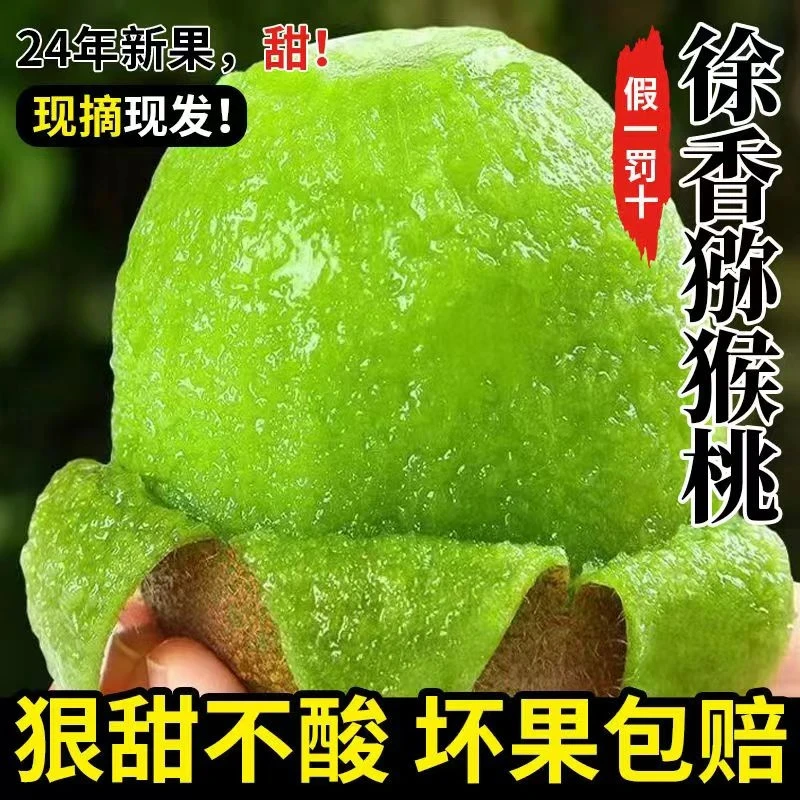 徐香猕猴桃 产地直发 果香浓郁 放软食用